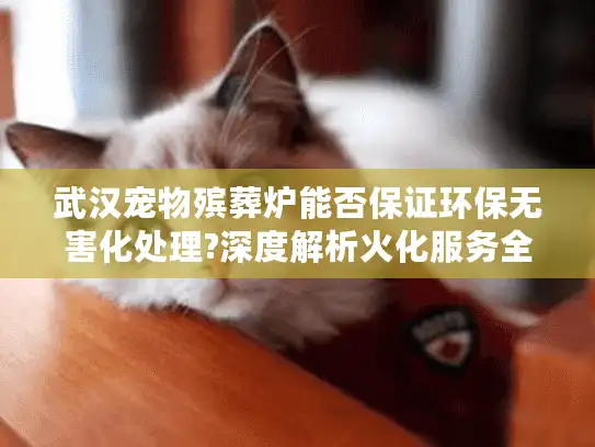 武汉宠物殡葬炉能否保证环保无害化处理?深度解析火化服务全流程
