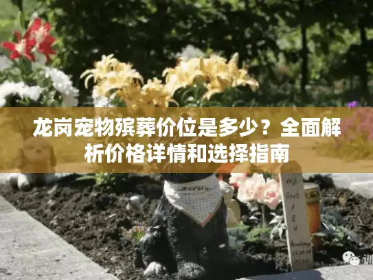 龙岗宠物殡葬价位是多少？全面解析价格详情和选择指南