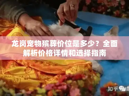 龙岗宠物殡葬价位是多少？全面解析价格详情和选择指南