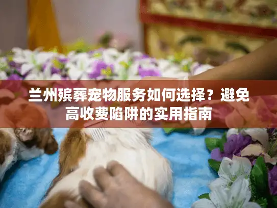 兰州殡葬宠物服务如何选择？避免高收费陷阱的实用指南