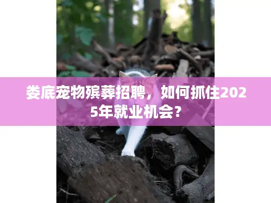 娄底宠物殡葬招聘，如何抓住2025年就业机会？