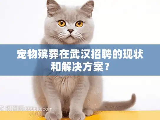 宠物殡葬在武汉招聘的现状和解决方案？