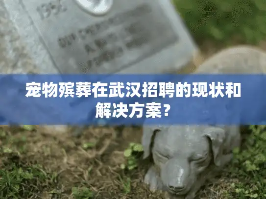 宠物殡葬在武汉招聘的现状和解决方案？