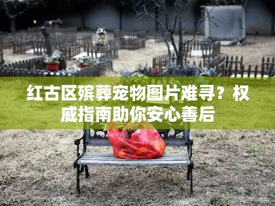 红古区殡葬宠物图片难寻？权威指南助你安心善后