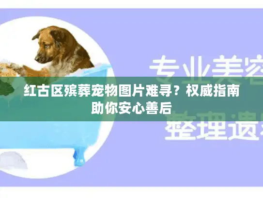 红古区殡葬宠物图片难寻？权威指南助你安心善后
