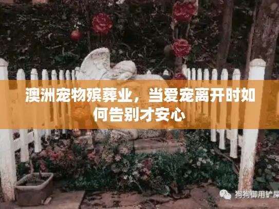 澳洲宠物殡葬业，当爱宠离开时如何告别才安心