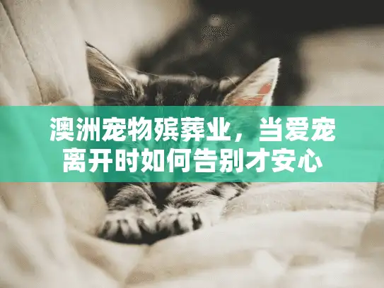 澳洲宠物殡葬业，当爱宠离开时如何告别才安心