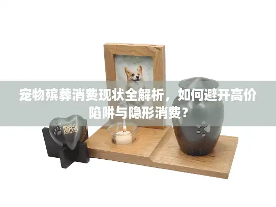 宠物殡葬消费现状全解析，如何避开高价陷阱与隐形消费？
