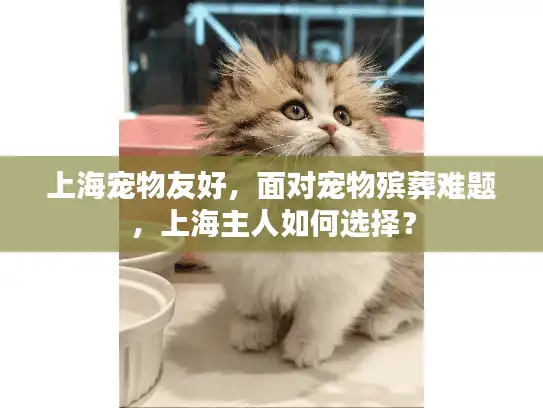 上海宠物友好，面对宠物殡葬难题，上海主人如何选择？