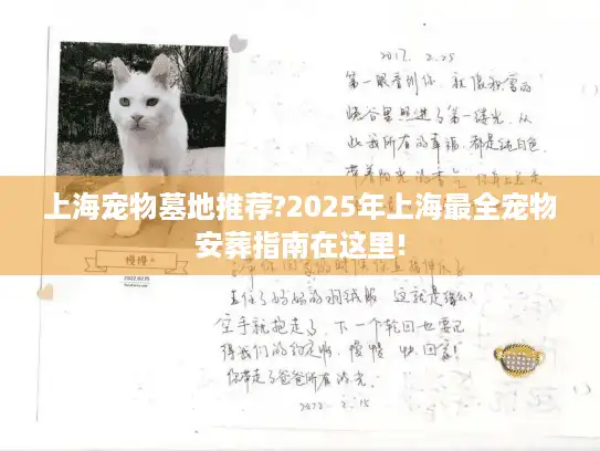 上海宠物墓地推荐?2025年上海最全宠物安葬指南在这里!
