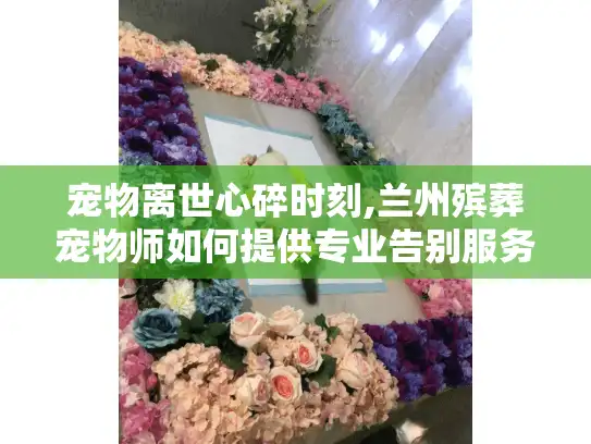 宠物离世心碎时刻,兰州殡葬宠物师如何提供专业告别服务?