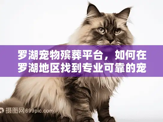 罗湖宠物殡葬平台，如何在罗湖地区找到专业可靠的宠物殡葬服务？