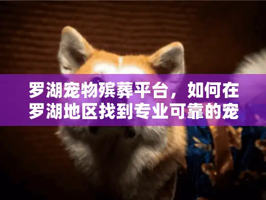 罗湖宠物殡葬平台，如何在罗湖地区找到专业可靠的宠物殡葬服务？