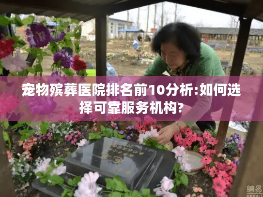 宠物殡葬医院排名前10分析:如何选择可靠服务机构?