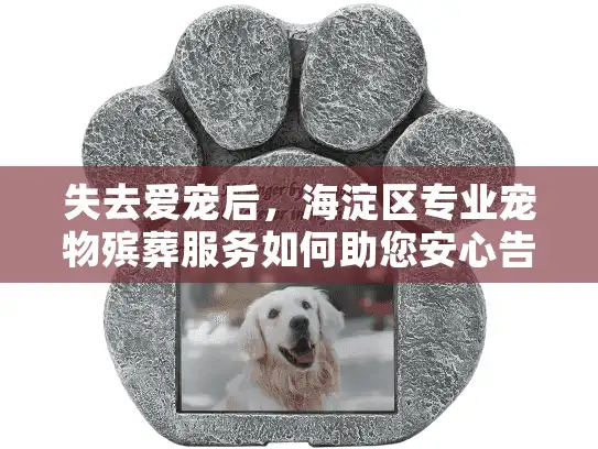 失去爱宠后，海淀区专业宠物殡葬服务如何助您安心告别？