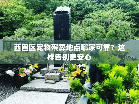 西固区宠物殡葬地点哪家可靠？这样告别更安心