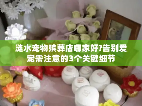 涟水宠物殡葬店哪家好?告别爱宠需注意的3个关键细节