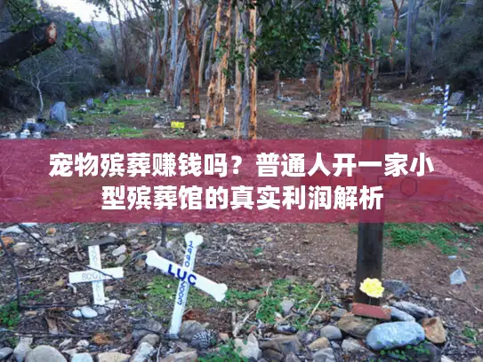 宠物殡葬赚钱吗？普通人开一家小型殡葬馆的真实利润解析