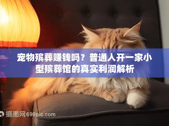 宠物殡葬赚钱吗？普通人开一家小型殡葬馆的真实利润解析