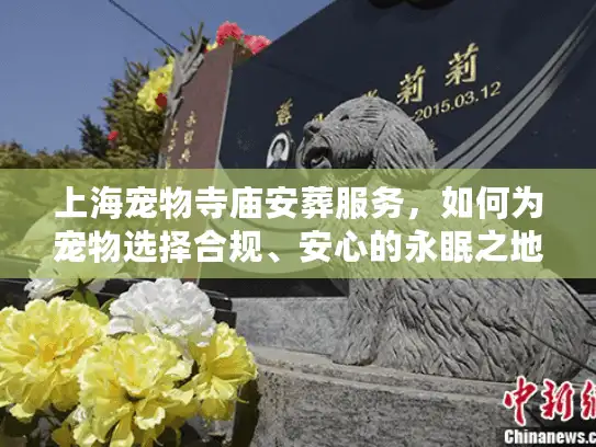上海宠物寺庙安葬服务，如何为宠物选择合规、安心的永眠之地？