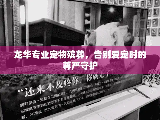龙华专业宠物殡葬，告别爱宠时的尊严守护