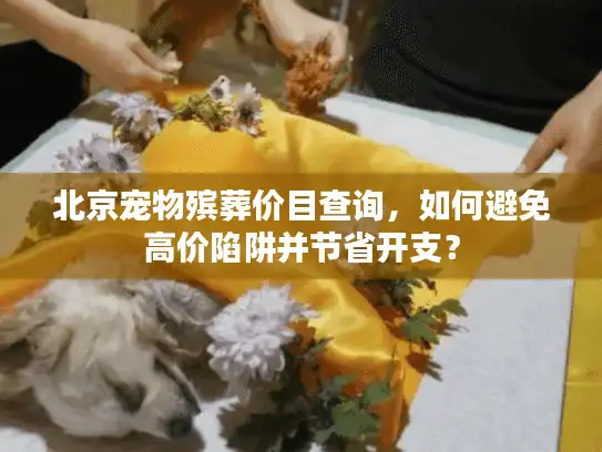 北京宠物殡葬价目查询，如何避免高价陷阱并节省开支？