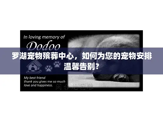 罗湖宠物殡葬中心，如何为您的宠物安排温馨告别？