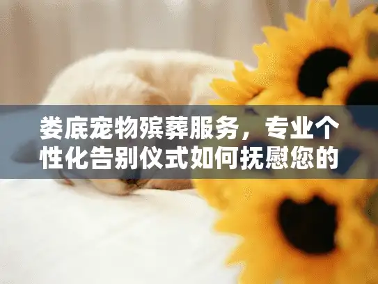 娄底宠物殡葬服务，专业个性化告别仪式如何抚慰您的心痛？
