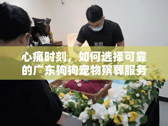 心痛时刻，如何选择可靠的广东狗狗宠物殡葬服务？