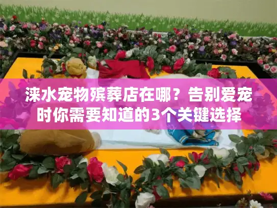 涞水宠物殡葬店在哪？告别爱宠时你需要知道的3个关键选择