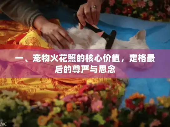 一、宠物火花照的核心价值，定格最后的尊严与思念