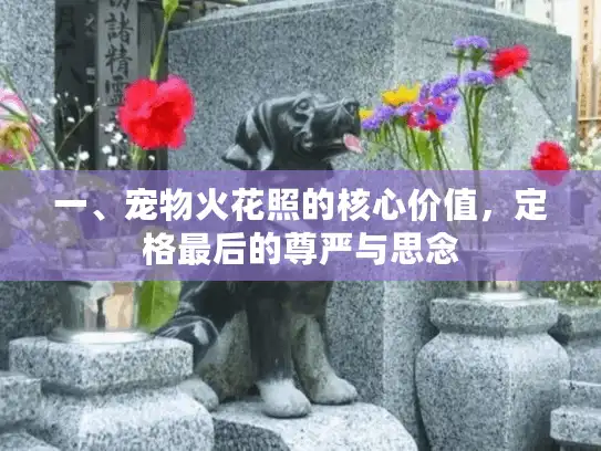 一、宠物火花照的核心价值，定格最后的尊严与思念