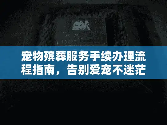 宠物殡葬服务手续办理流程指南，告别爱宠不迷茫