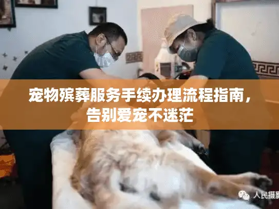 宠物殡葬服务手续办理流程指南，告别爱宠不迷茫