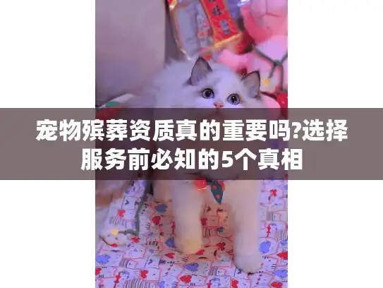 宠物殡葬资质真的重要吗?选择服务前必知的5个真相