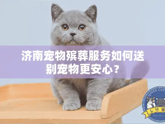 济南宠物殡葬服务如何送别宠物更安心？