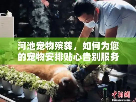 河池宠物殡葬，如何为您的宠物安排贴心告别服务？
