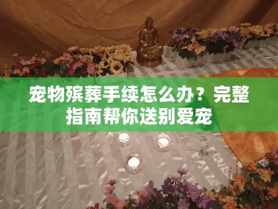 宠物殡葬手续怎么办？完整指南帮你送别爱宠
