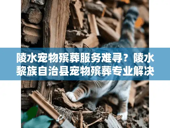 陵水宠物殡葬服务难寻？陵水黎族自治县宠物殡葬专业解决方案在这里