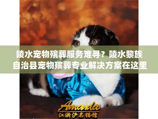 陵水宠物殡葬服务难寻？陵水黎族自治县宠物殡葬专业解决方案在这里