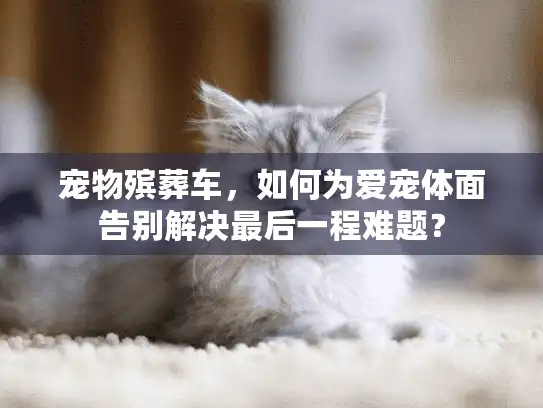 宠物殡葬车，如何为爱宠体面告别解决最后一程难题？
