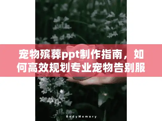 宠物殡葬ppt制作指南，如何高效规划专业宠物告别服务？