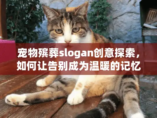 宠物殡葬slogan创意探索，如何让告别成为温暖的记忆？