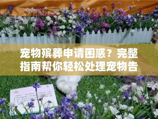 宠物殡葬申请困惑？完整指南帮你轻松处理宠物告别流程