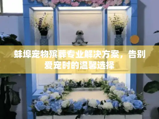 蚌埠宠物殡葬专业解决方案，告别爱宠时的温馨选择