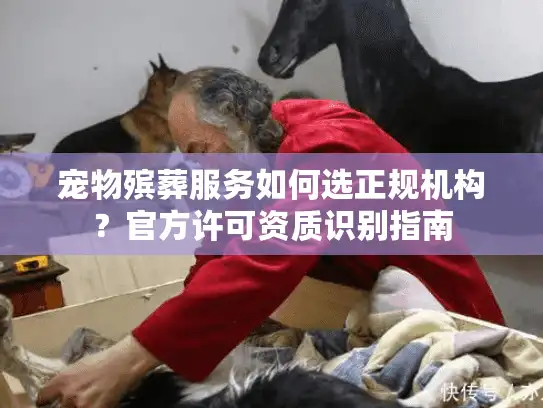 宠物殡葬服务如何选正规机构？官方许可资质识别指南