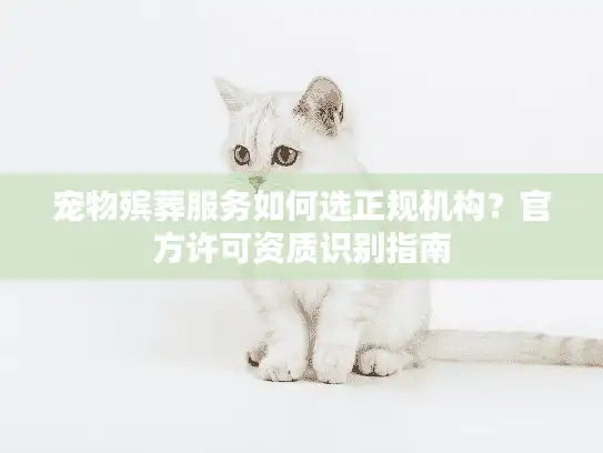 宠物殡葬服务如何选正规机构？官方许可资质识别指南