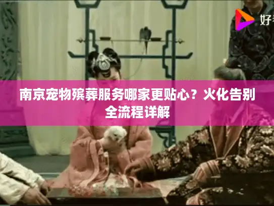南京宠物殡葬服务哪家更贴心？火化告别全流程详解