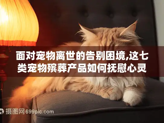 面对宠物离世的告别困境,这七类宠物殡葬产品如何抚慰心灵？