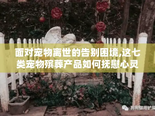 面对宠物离世的告别困境,这七类宠物殡葬产品如何抚慰心灵？
